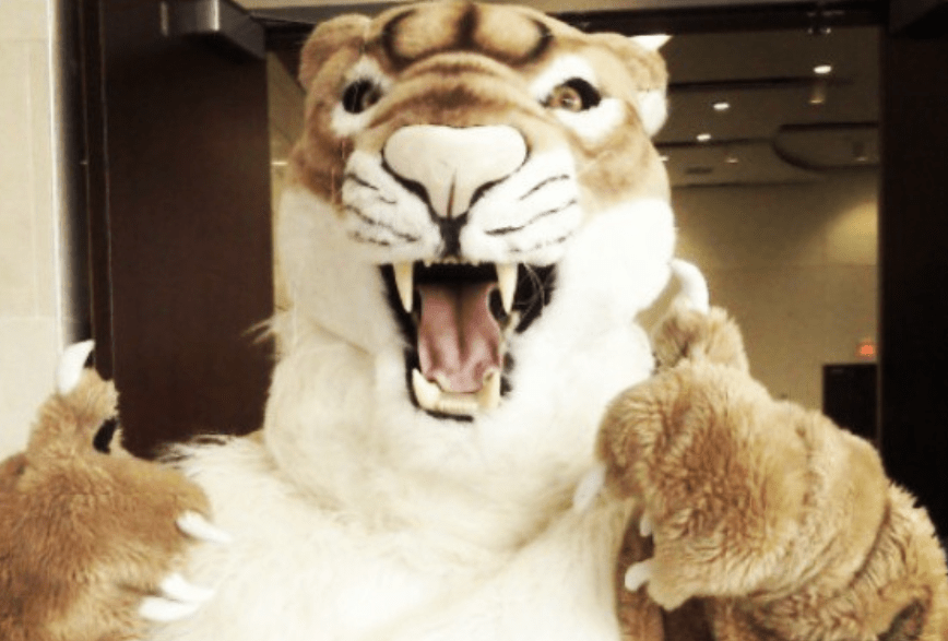 Collin Cougar's May 2018 Movie Reviews