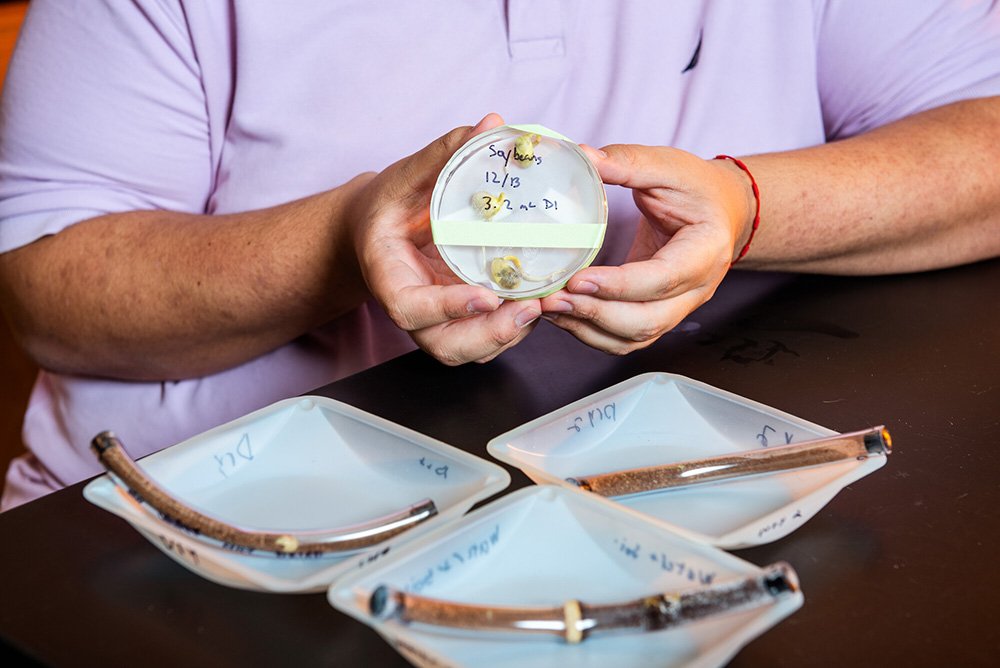 The experiment focuses on the viability of soybeans as a food source and the creation of microplastics during space travel.