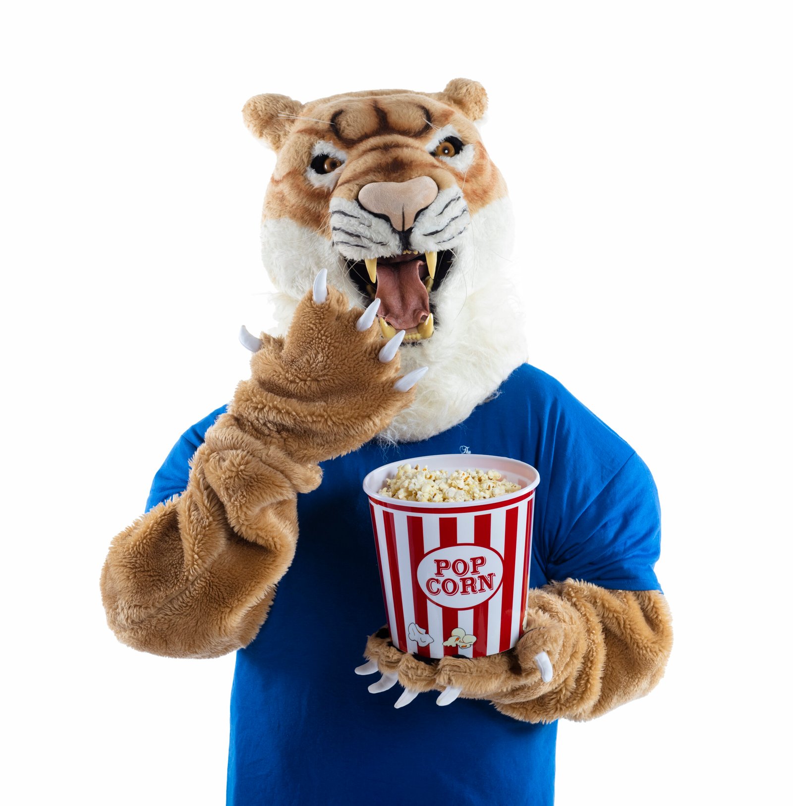 Collin Cougar Mascot
