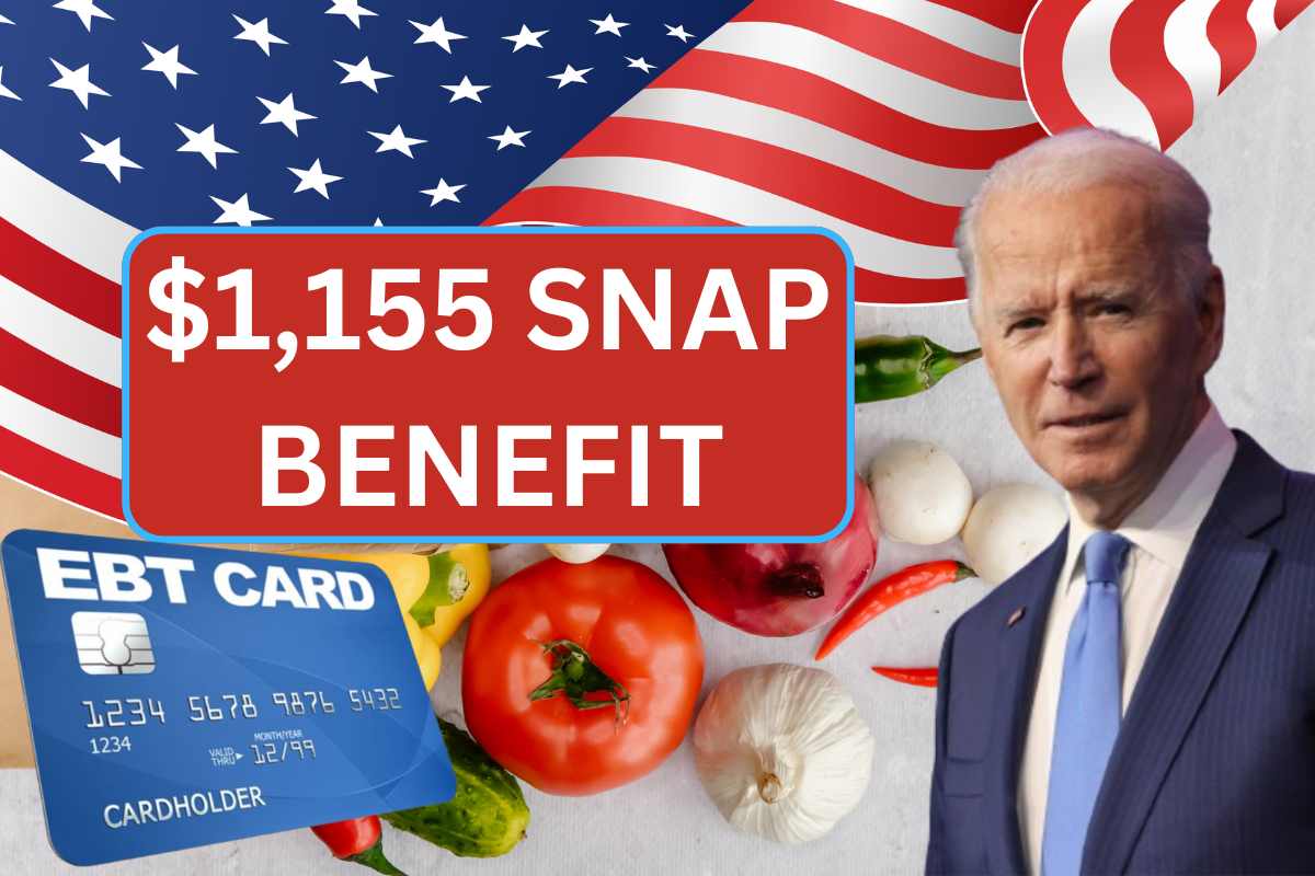 $1,155 Snap Benefit August 2024, Check Your Eligibility, Payment Date