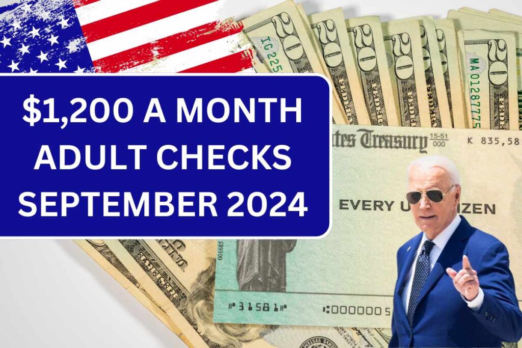 $1,200 A Month Adult Checks September 2024