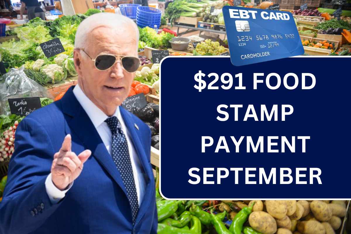 $291 Food Stamp Payment September 2024: Eligibility & Payment Dates