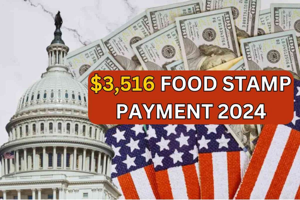 $3,516 Food Stamp Payment 2024