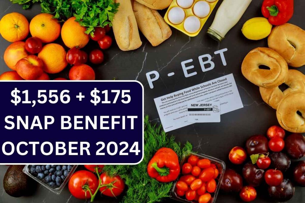 $1,556 + $175 SNAP Benefit October 2024, Check Eligibility & Payout Dates