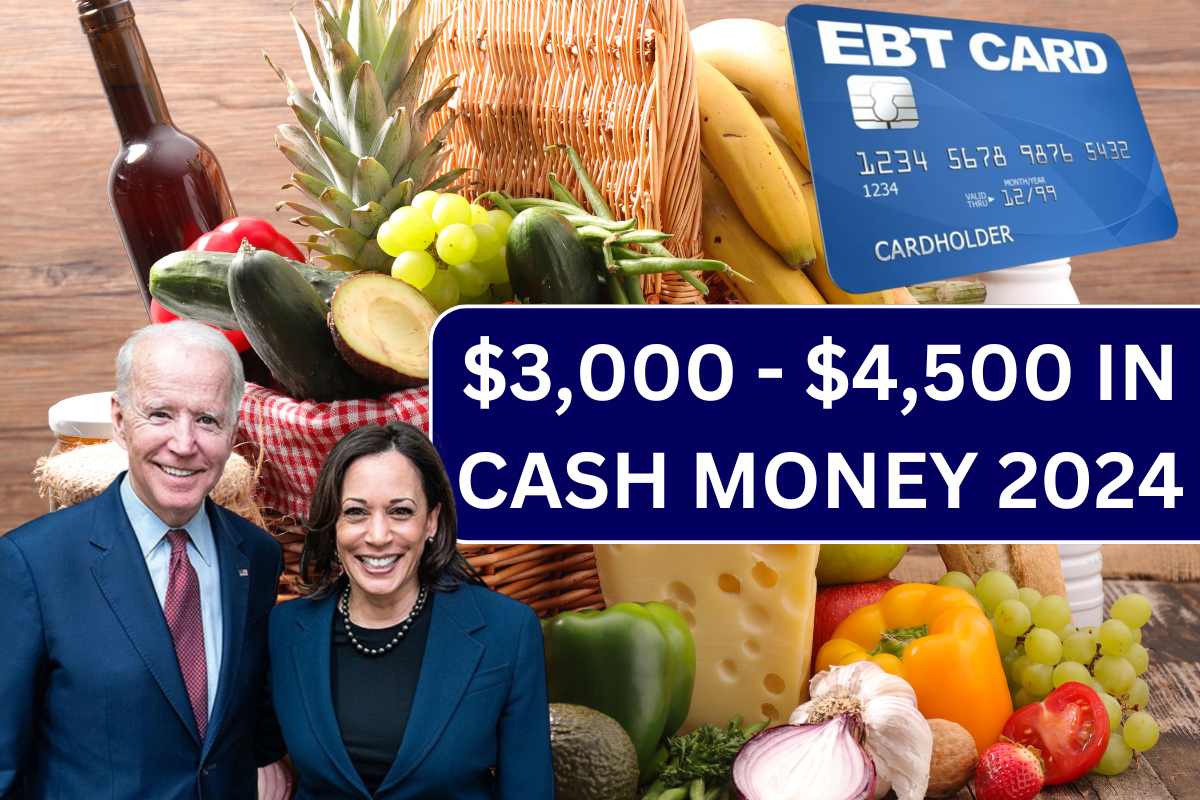 $3,000 - $4,500 In Cash Money 2024 : SNAP, Food Stamps, EBT, Low Income