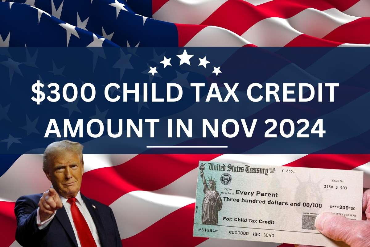 $300 Child Tax Credit Amount In Nov 2024