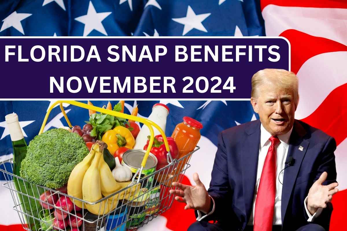 Florida SNAP Benefits November 2024: Eligibility, Payment Schedule